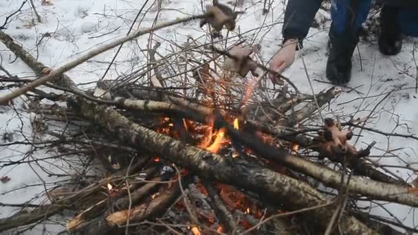 Winter kampvuur picknick — Stockvideo