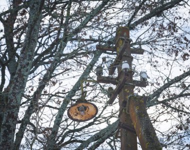 eski elektrik terk edilmiş fener