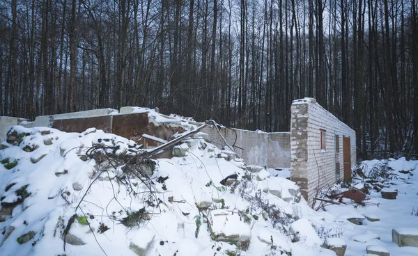 building ruins in the forest, disaster abstract