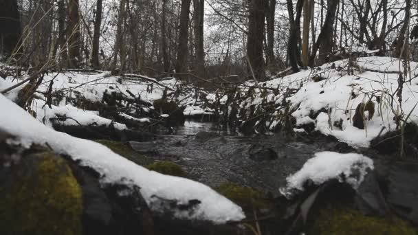 Arroyo de invierno bosque fluyendo — Vídeo de stock