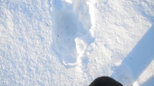Uomo Piedi Stivali Camminando Sulla Neve Profonda Vista Dall Alto — Video Stock