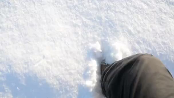 Pas Avant Sur Les Images Neige Profonde Blanche — Video