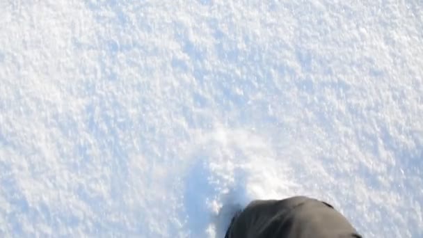 Pas en avant sur la neige épaisse blanche . — Video