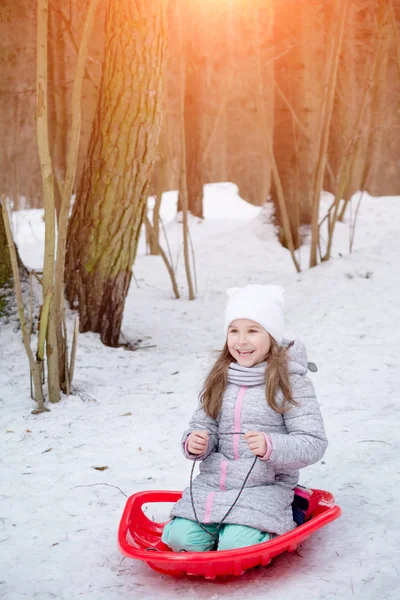 快乐的女孩在公园里雪橇 — 图库照片