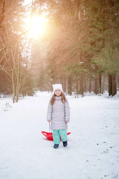 Niña pequeña y hermosa de seis años de edad camina en un bosque nevado —  Fotos de Stock