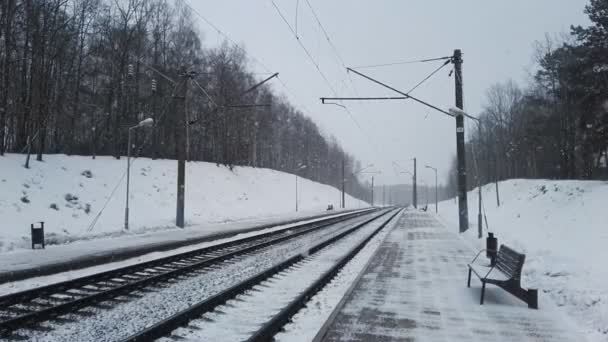 Treno strada paesaggio — Video Stock