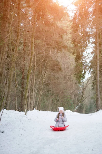 Winter games: sledging from a slide in a snowy park