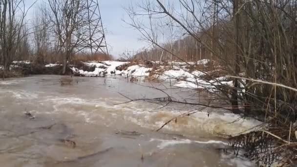 Primavera río paisaje — Vídeo de stock