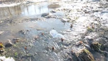 Bahar akışı plastik şişe