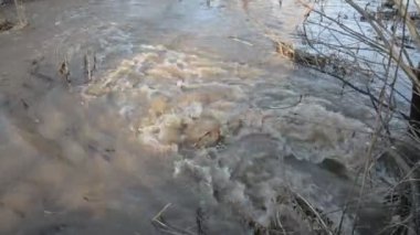 kahverengi su kirli orman akarsu