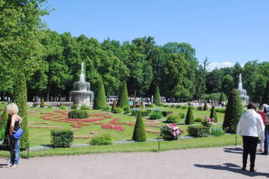 Peterhof, Rusya - 01 Temmuz 2011: Yeşil bahçe çim ile. Yaz avlu çim ile.