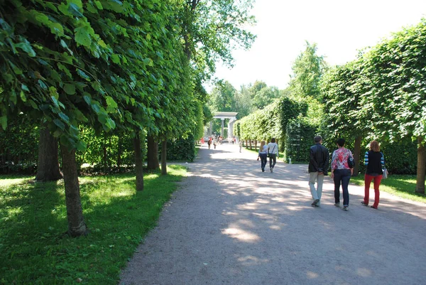 PETERHOF, RUSIA - 01 DE JULIO DE 2011: Peterhof parque acera . — Foto de Stock