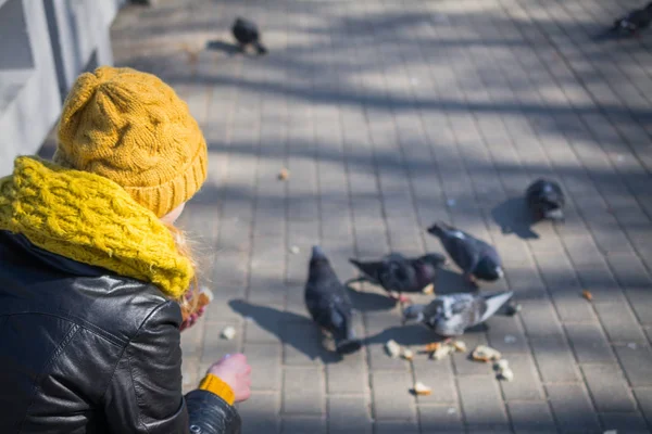 Mujer joven alimentando palomas en el parque de la ciudad —  Fotos de Stock