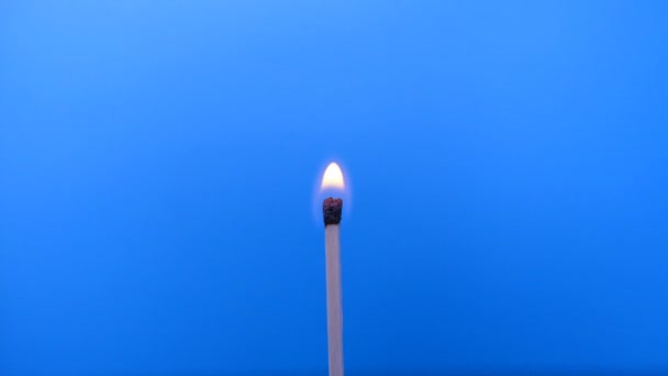 Burning match, middle view blue background — Stock Video