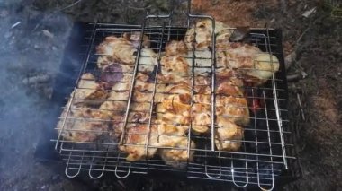 Piknik barbekü et üzerinde orman kamp ateşi pişirme