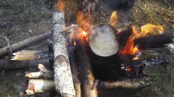 Matlagning potatis i en armé kruka på en lägereld i skogen på en picknick — Stockvideo