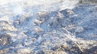 yerde kül ve bir orman yangını sonrası duman