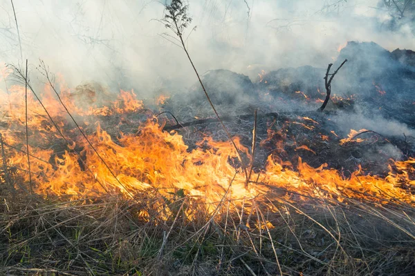 Большой пожар на сухом травяном поле — стоковое фото