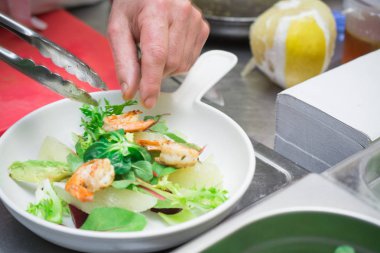 Sağlıklı ve sağlıklı gıda kavramı, Akdeniz mutfağı, İtalyan tarifi, şef taze sebze ve karides bir salata hazırlar