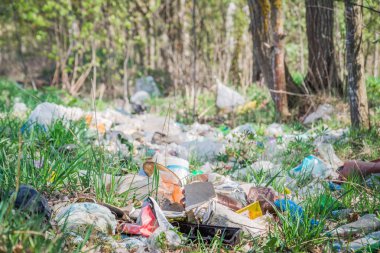Minsk, Beyaz Rusya - 1 Mayıs 2019: Ormandaki insan faaliyetlerinin yeşil çimenler üzerinde plastik atıkları