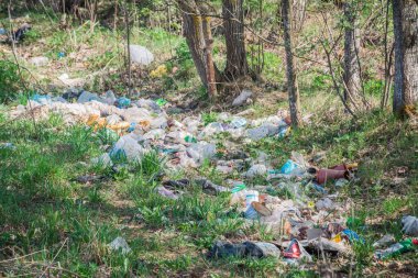 Minsk, Beyaz Rusya - 1 Mayıs 2019: Ormandaki insan faaliyetlerinin yeşil çimenler üzerinde plastik atıkları