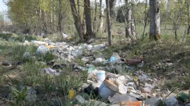 Minsk, Beyaz Rusya - 1 Mayıs 2019: Çevrenin plastik ve çöple kirlenmesi