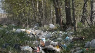 Minsk, Beyaz Rusya - 1 Mayıs 2019: Orman platik çöp manzara