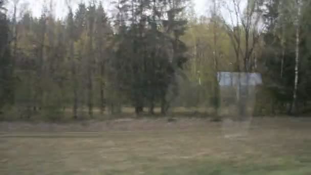 列車窓の森の眺め — ストック動画