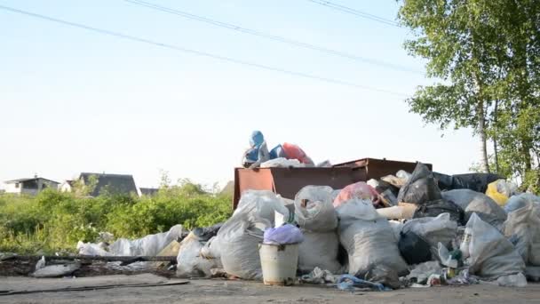 Τα σκουπίδια πέφτουν στο έδαφος στο δάσος. Το πρόβλημα της περιβαλλοντικής ρύπανσης — Αρχείο Βίντεο