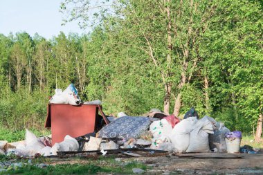 Ormandaki çöp yığını