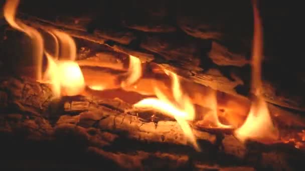 Lagerfeuer Aus Nächster Nähe Freien — Stockvideo