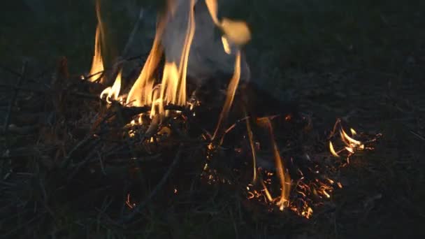 Fermer Les Flammes Feu Camp Extérieur — Video