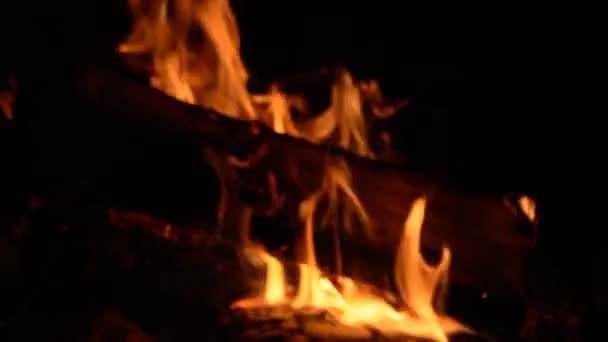 Nahaufnahme Rundumblick Auf Feuer Holzflamme Brennt Langsam Kamin Lagerfeuer — Stockvideo