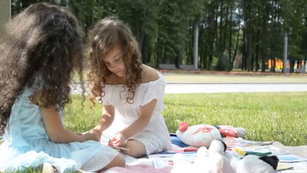 Deux Belles Petites Filles Cinq Ans Jouent Dans Parc Sur — Video