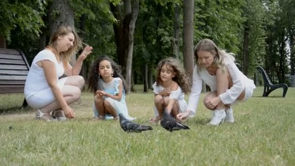 两个母亲和两个小女儿在草坪上的城市公园里喂鸽子 — 图库视频影像