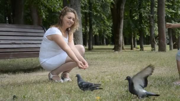 Familia Alimenta Las Palomas Banco Del Parque Material Archivo — Vídeos de Stock