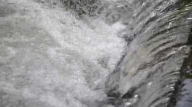 Kayalardan akan orman Nehri suyu
