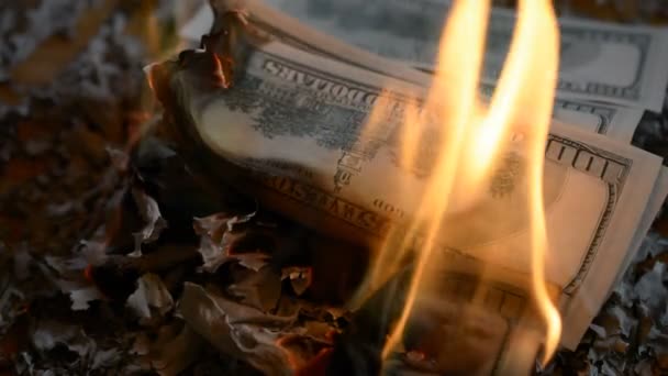 100 美元的钞票，在火上 — 图库视频影像