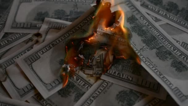 Dollar Bill L'argent des USA brûle dans les flammes — Video