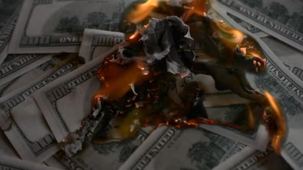 Dollarsedlar sätta på eld och bränna — Stockvideo
