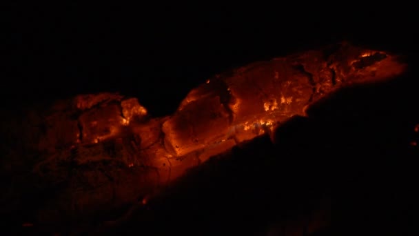 flamboyant vif du feu et du bois chaud la nuit 