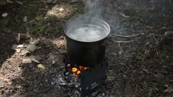 캠핑 여행에서 감자 요리 — 비디오