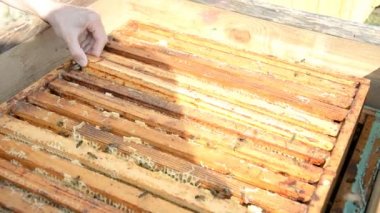 Kovan Temizleme ve Denetleme