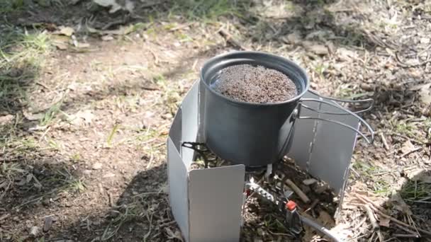 Faire du thé lors d'un voyage en camping sur un brûleur à gaz — Video