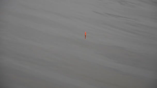 Un flotteur pour les cannes à pêche dans l'eau pendant la pêche — Video