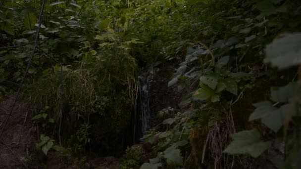 L'eau de source cristalline coule 