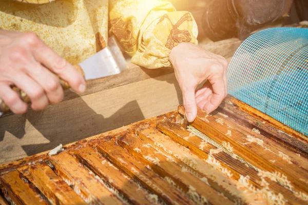 Frauenhände des Mannes zeigt ein Holzgestell mit Waben — Stockfoto