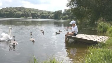 Gölde beslenen genç bir kadın kuğu ve ördekler Yaz günü kuş besliyor