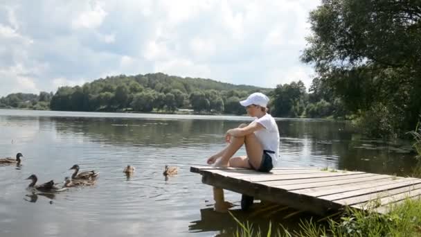 Красивая девушка кормит водоплавающих уток и лебедей в пруду в прекрасный летний день — стоковое видео