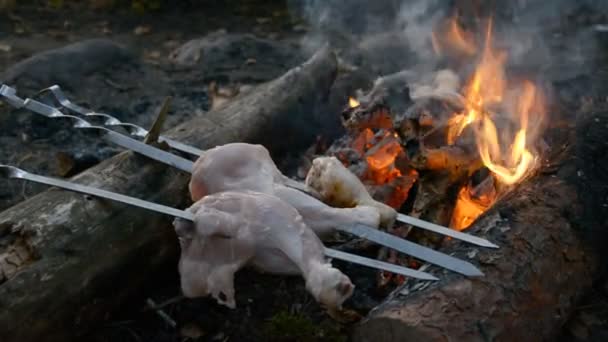 Cocinar carne de chiken en el fuego — Vídeos de Stock